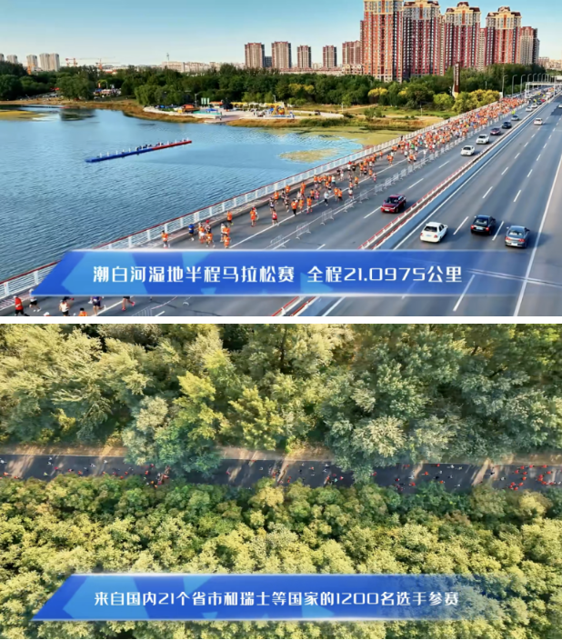 1696210050206366.png image.png