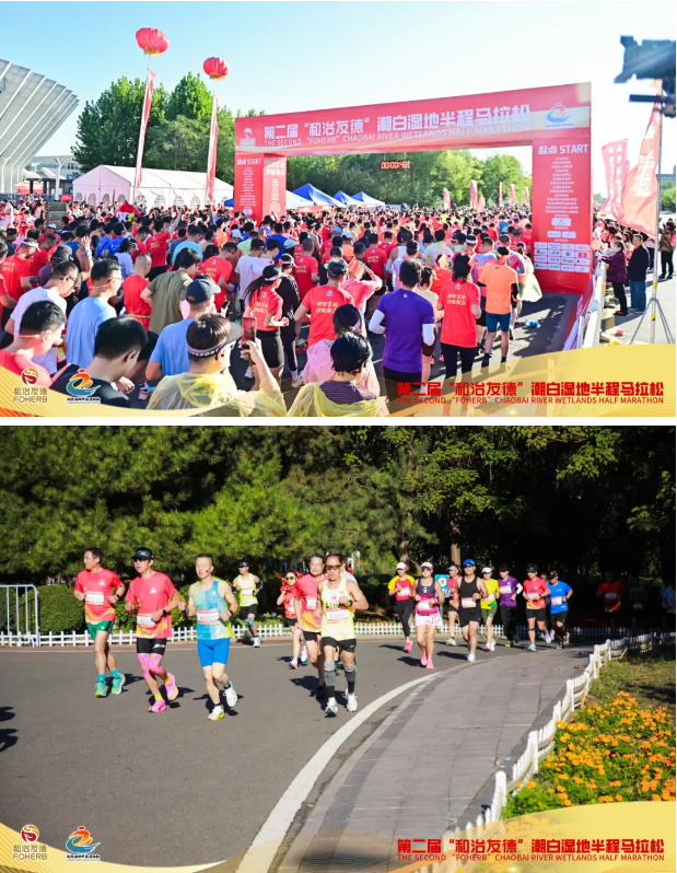 1728437623764001.png image.png