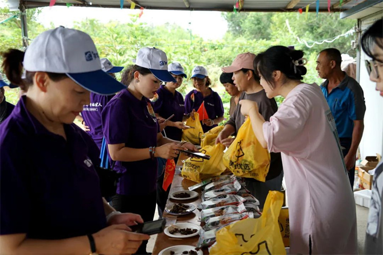 1697610999449592.jpg 95.jpg