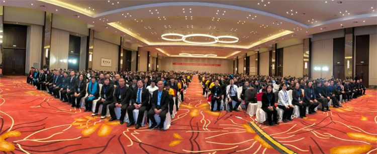 1704954444927934.jpg 1.jpg