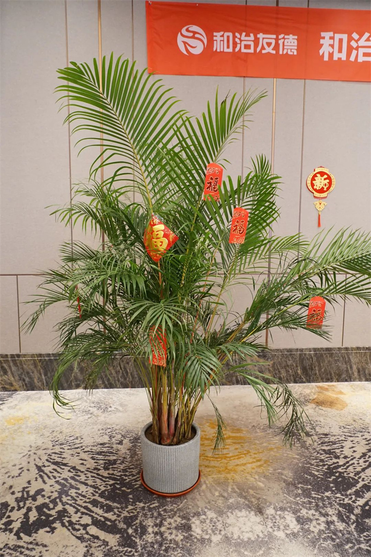 1708494665197161.jpg 4.jpg