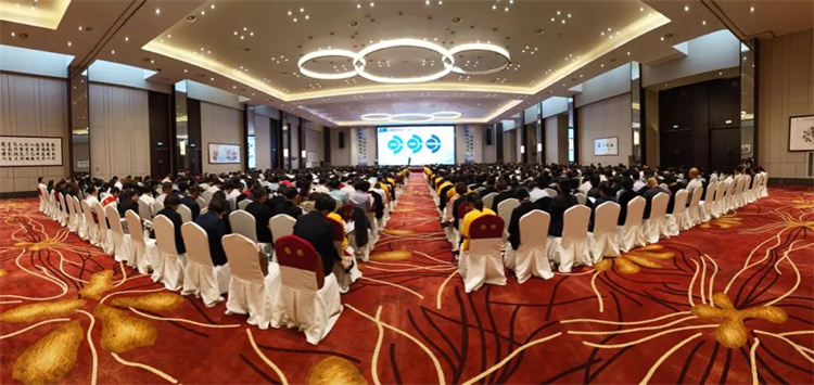 1716194393109985.jpg 6.jpg