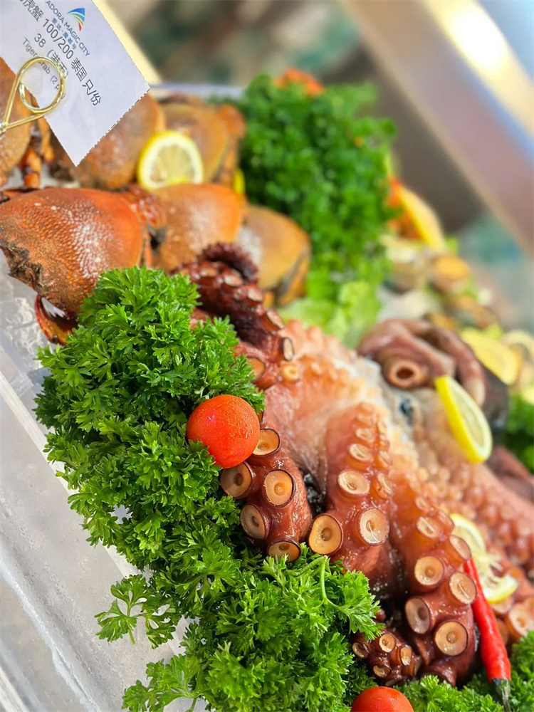 1721204102814414.jpg 11.jpg