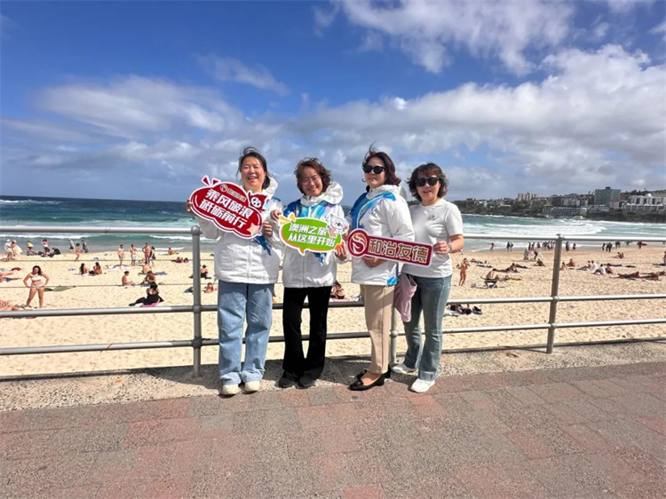 1742539895209365.jpg 16.jpg