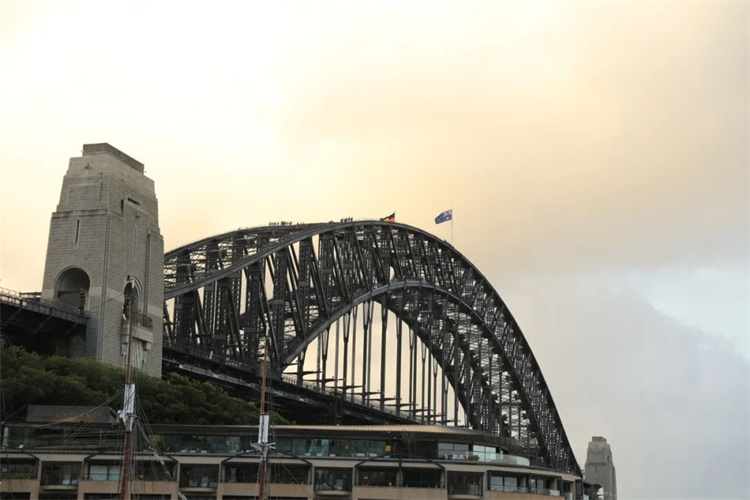 1742540059565572.jpg 22.jpg