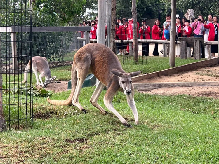 1742540341757586.jpg 38.jpg