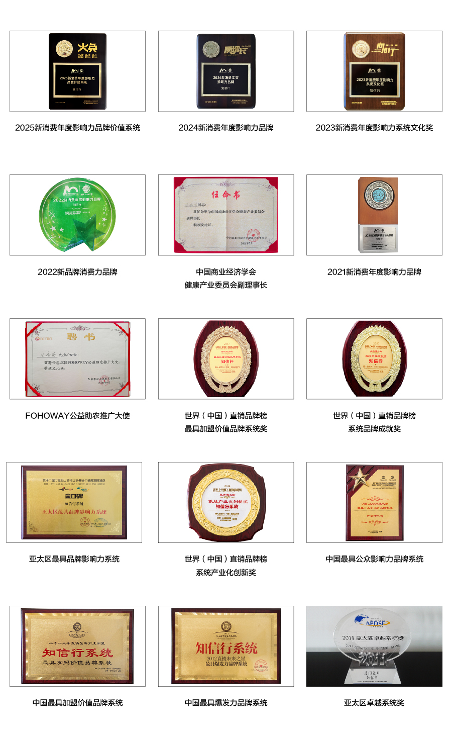 1752828897604597.jpg 榮譽_畫板 1.jpg